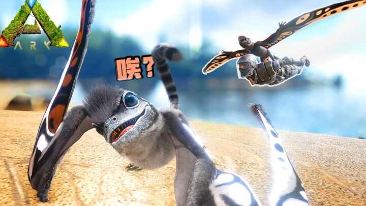 ARK: Survival Evolved – The Chinese Giant Pterosaur! How does this adorable little guy manage to fly