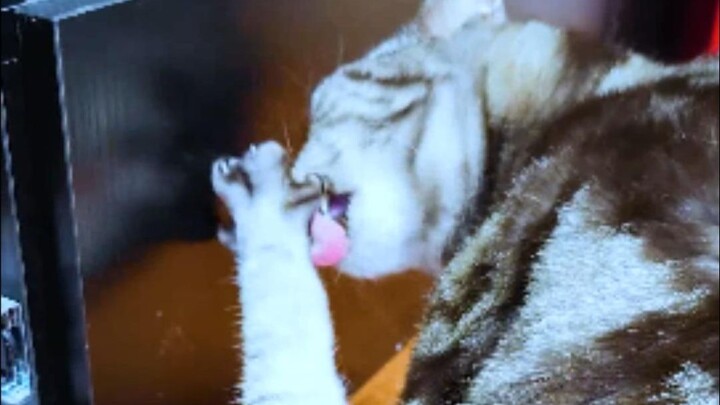 It's quite rare to see all four of these situations come together...