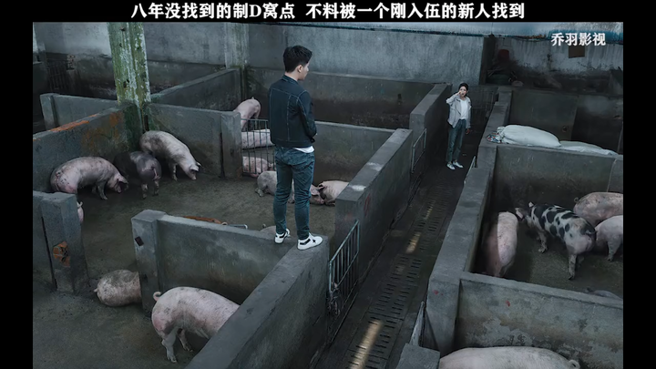 An illegal production den that had eluded authorities for eight years was unexpectedly uncovered by 