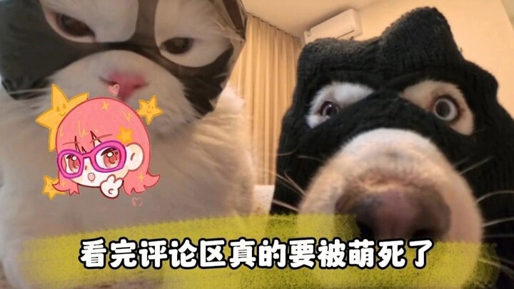 看完评论区真的要被萌死了