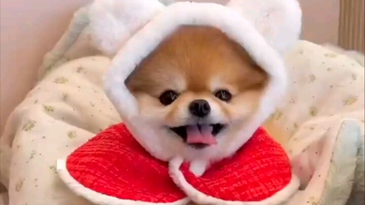 Segera tag gadis termanis di seluruh dunia, ayo lihat!