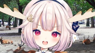 Cabbage finally evolved into 🦌🦌🦌🦌🦌🦌🦌!