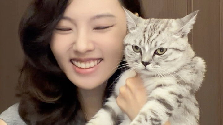 Hanya para pencinta kucing yang mengerti betapa nikmatnya momen ini!