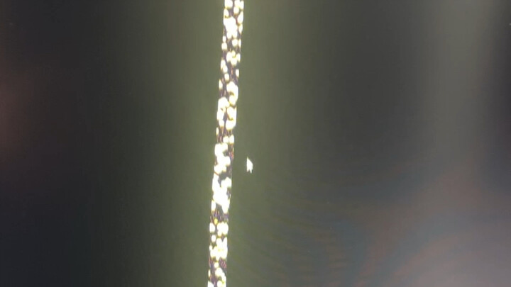 Seberapa santai sih seseorang?