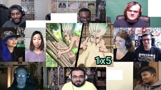 Senku's Journey Reaction Mashup//Dr. Stone S1x5