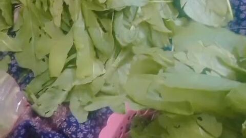 vegetables