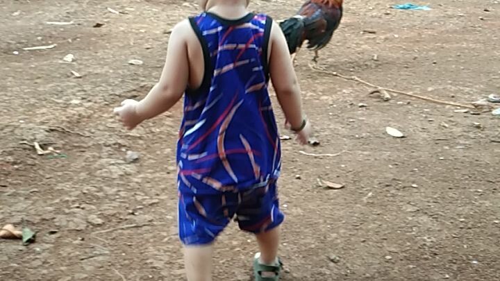 batang kulit