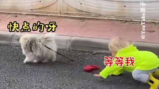 再也不敢给孩子玩焰火筒了🎆|到底是人遛狗还是狗遛人😅|打脸来得如此之快😳|GO,派珀! 🏃🏼‍♀️🏃🏼‍♀️ ....STOP, 派珀! 🛑🖐