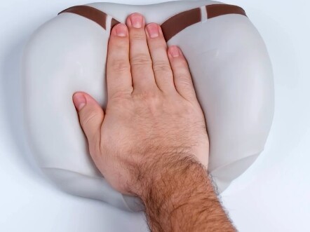 Sheep tail fat butt pad texture