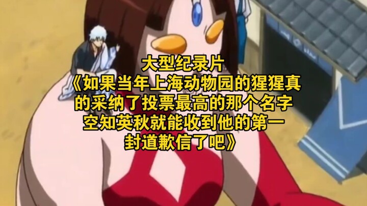 The large-scale documentary “If the Shanghai Zoo’s gorilla had actually gone with the name that rece
