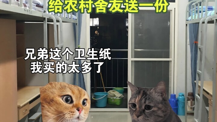 Bán bò đóng học phí chỉ là lời nói dối của bạn