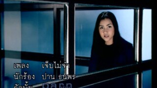 เจ็บไม่จำ - ปาน ธนพร (MV Karaoke)