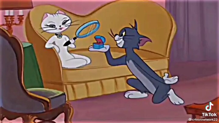 sad tom and Jerry