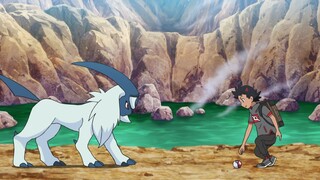 Pokemon Tập 1154: Absol bị căm ghét