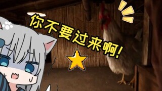 Cats and Pigeons in Gancheng~I've been looking for you for a long time, little cutie~The cat that ca