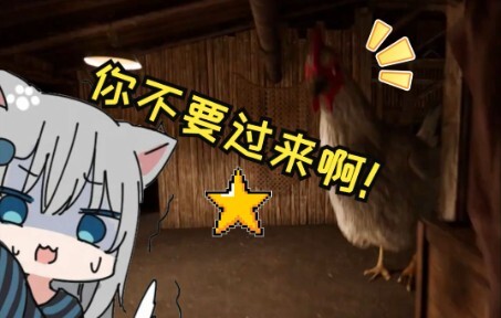 Cats and Pigeons in Gancheng~I've been looking for you for a long time, little cutie~The cat that ca