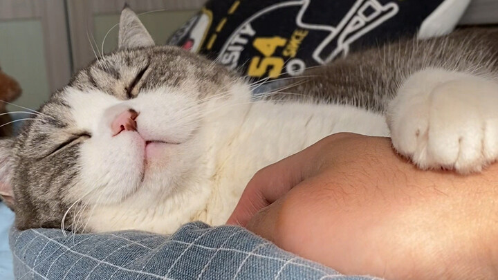 I really do feel a bit bad about Old Strawberry...