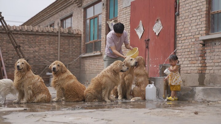 Mandiin anjing, malah bikin si bayi manusia kelelahan!