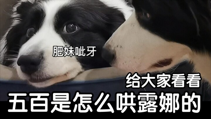 Aku sudah bilang jangan ganggu cewek, kali ini bereslah…