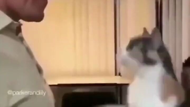 นี่แหละคือสิ่งที่ผู้ชายแมนๆ ควรดู!