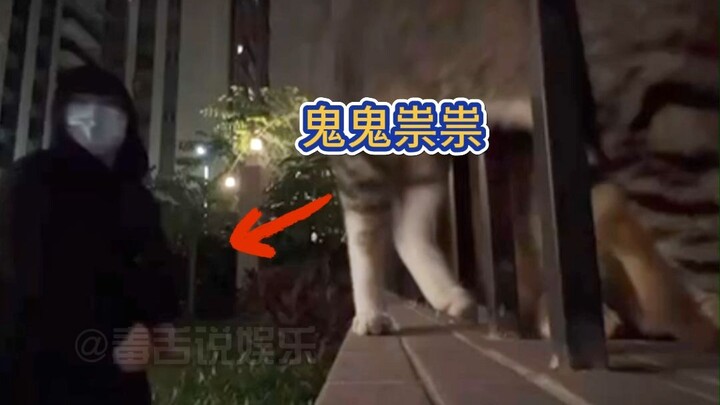 القط: ألا يتعين عليّ أن أقدّم شيئًا في المقابل؟