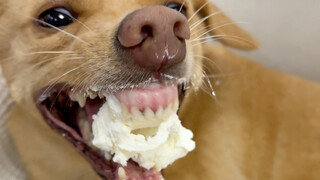 Sekali lagi menantang untuk makan yogurt kering Yunani