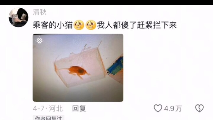 原来安检真的什么都看得见 