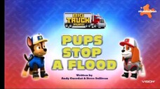 PAW patrol Musim 9 Episode 6 dan Episode 7 Bahasa Indonesia Vision+