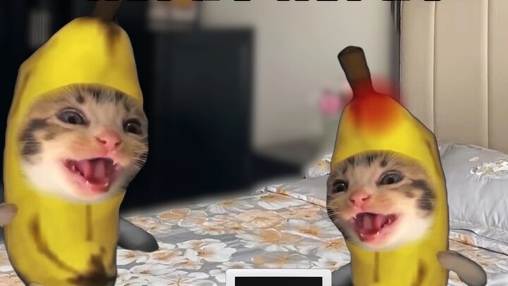 Mối quan hệ ngọt ngào của tôi với anh trai tôi