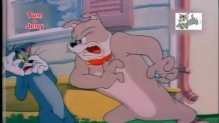 ทอมกับเจอร์รี่ ตอน ไทค์เด็กดื้อ