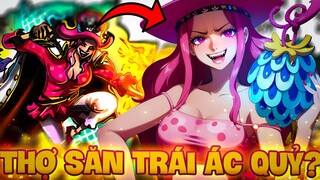 THỢ SĂN TRÁI ÁC QUỶ BÁ ĐẠO NHẤT?! | NHỮNG BẬC THẦY SĂN TRÁI ÁC QUỶ TRONG ONE PIECE?