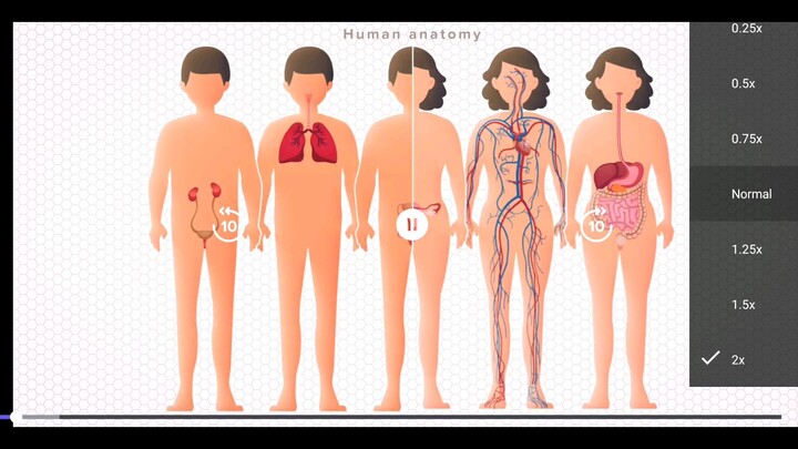 Biology  Plant Anatomy (Meristematic tissue)