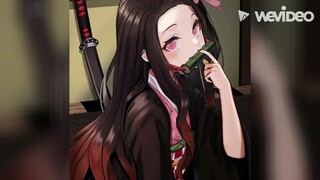 Nezuko Papi