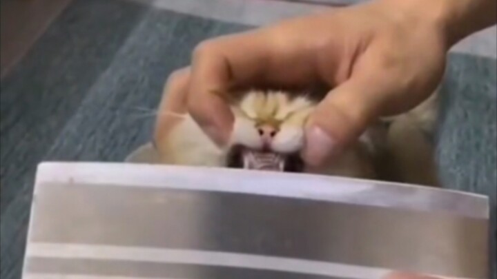 Sự thật chỉ có một: Kẻ phạm tội chính là bạn!