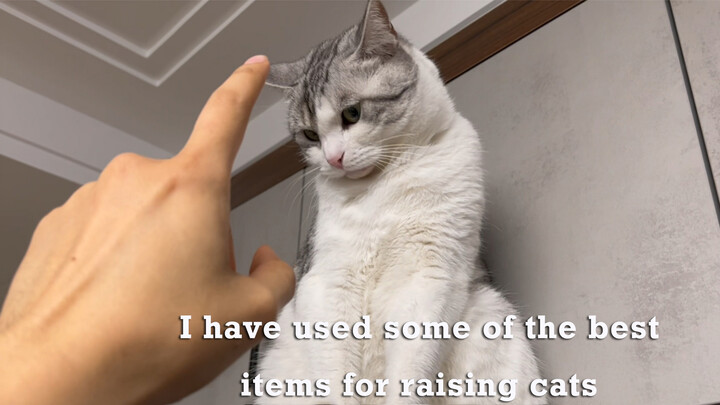 Very useful tools for cat owners
