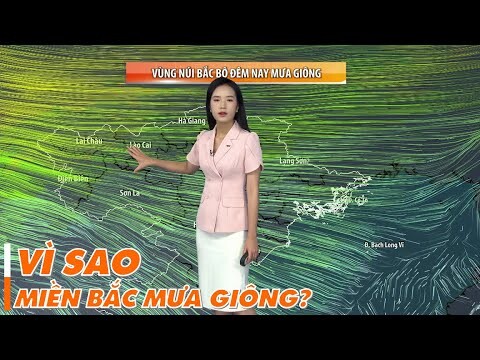 Dự báo thời tiết ngày mai 15/10/2024 | Vì sao miền Bắc mưa giông? | VTVWDB