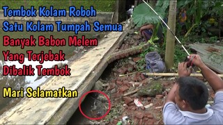 STRIKE BABON MELEM BERTUBI-TUBI DIBALIK RUNTUHNYA KEJAYAAN TEMBOK KOLAM IKAN