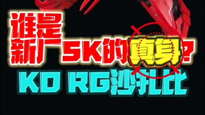 做KO RG沙扎比的新厂SK居竟然是他？！