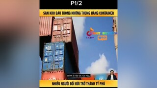 Đấu giá Container reviewphim reviewphimhay mereviewphim nntreview2