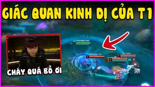 BLV ngạc nhiên thấy giác quan T1 quá kinh dị, Midlane LCK troll nhau - LMHT - LOL - Skin - Montage