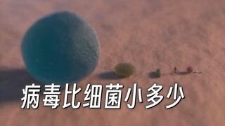 微观可视化：人类神经元 卵子 红细胞 新冠病毒 分别有多大