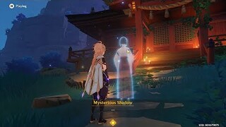 Mysterious Shadow Quest - Inazuma | Genshin Impact