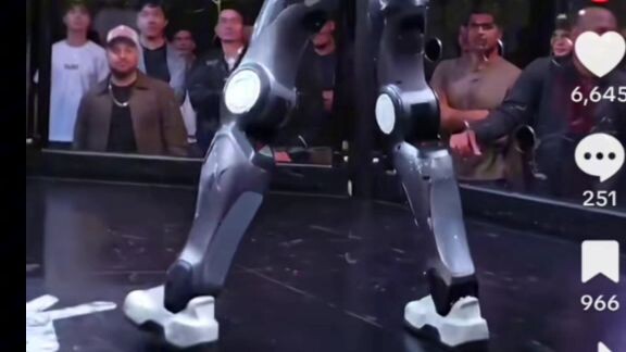 First fight with a robot in history