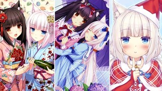 [อนิเมะ] แมวสาว | "Nekopara"