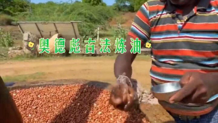 “Dầu chế biến theo phương pháp cổ truyền của A Đắc Biểu”