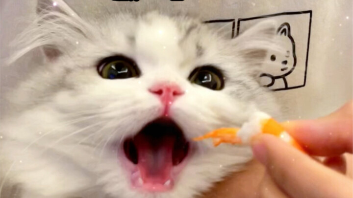 I can be really fierce! Roar!