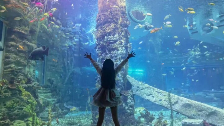 Hey, I’m off to play the Little Mermaid!