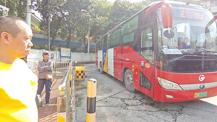 标题已摆烂2025:12.19