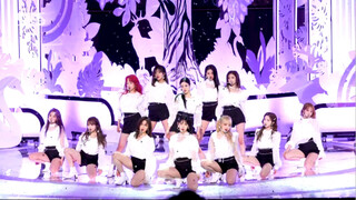 【IZONE】 谁的part看谁的直拍  幻想童话