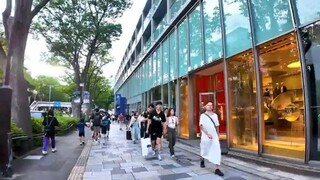 Tokyo Harajuku  Excitement!  break time #shorts
